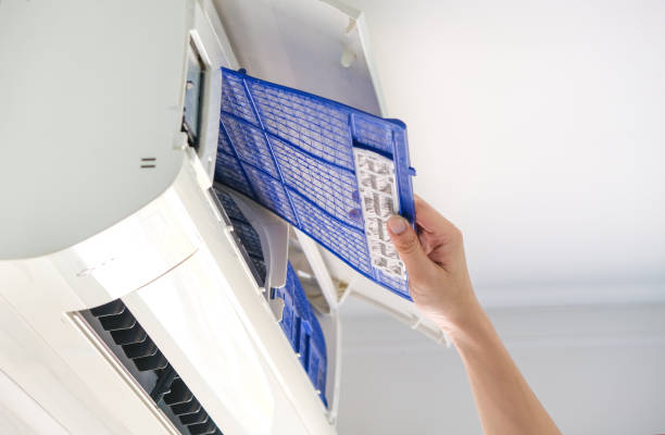 Air Duct Mold Removal in Brandon, FL